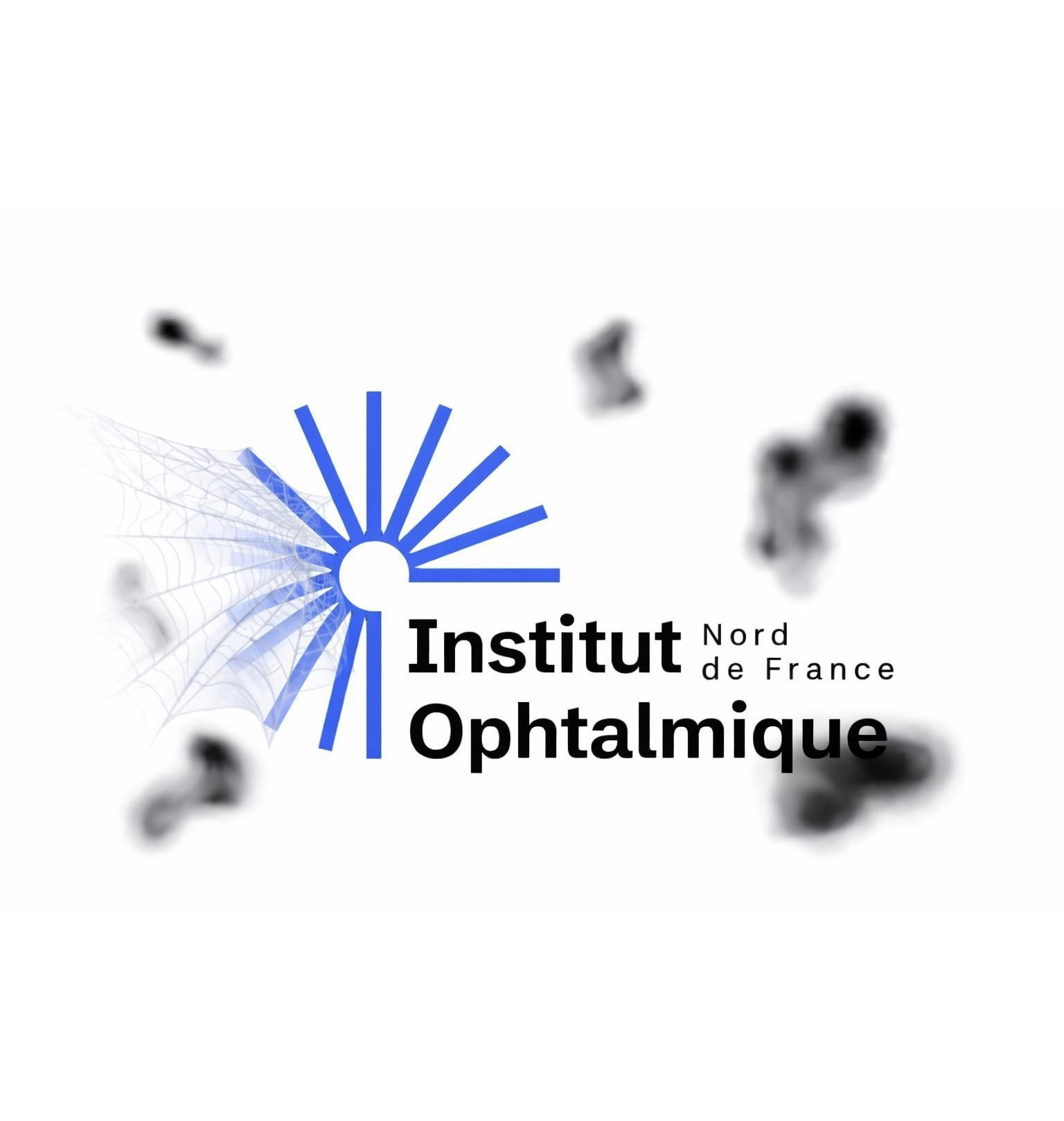institut ophtalmique nord de france mouches toile araignee (1)
